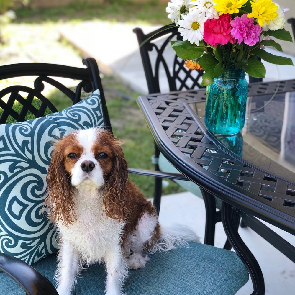 💕WELCOME! 💕 - Picture 3 of 6